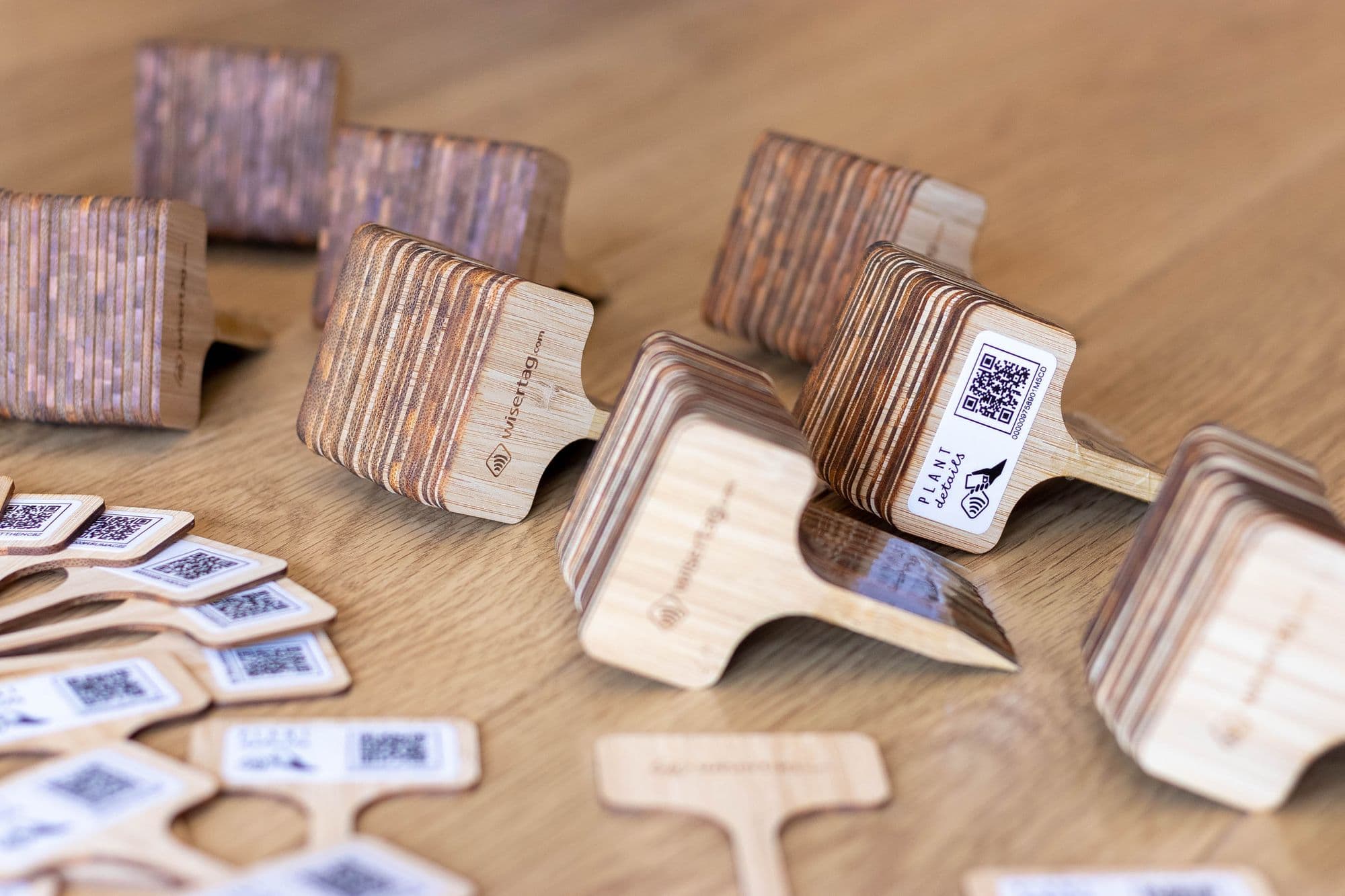 Wisertag, another startup attempt